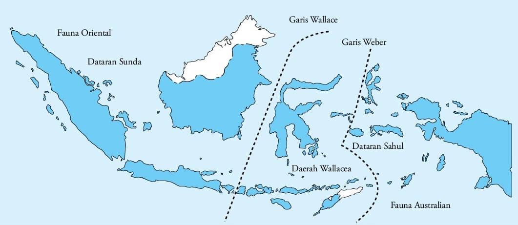 GEOGRAFI-IWAN: PERSEBARAN FLORA DAN FAUNA DI INDONESIA